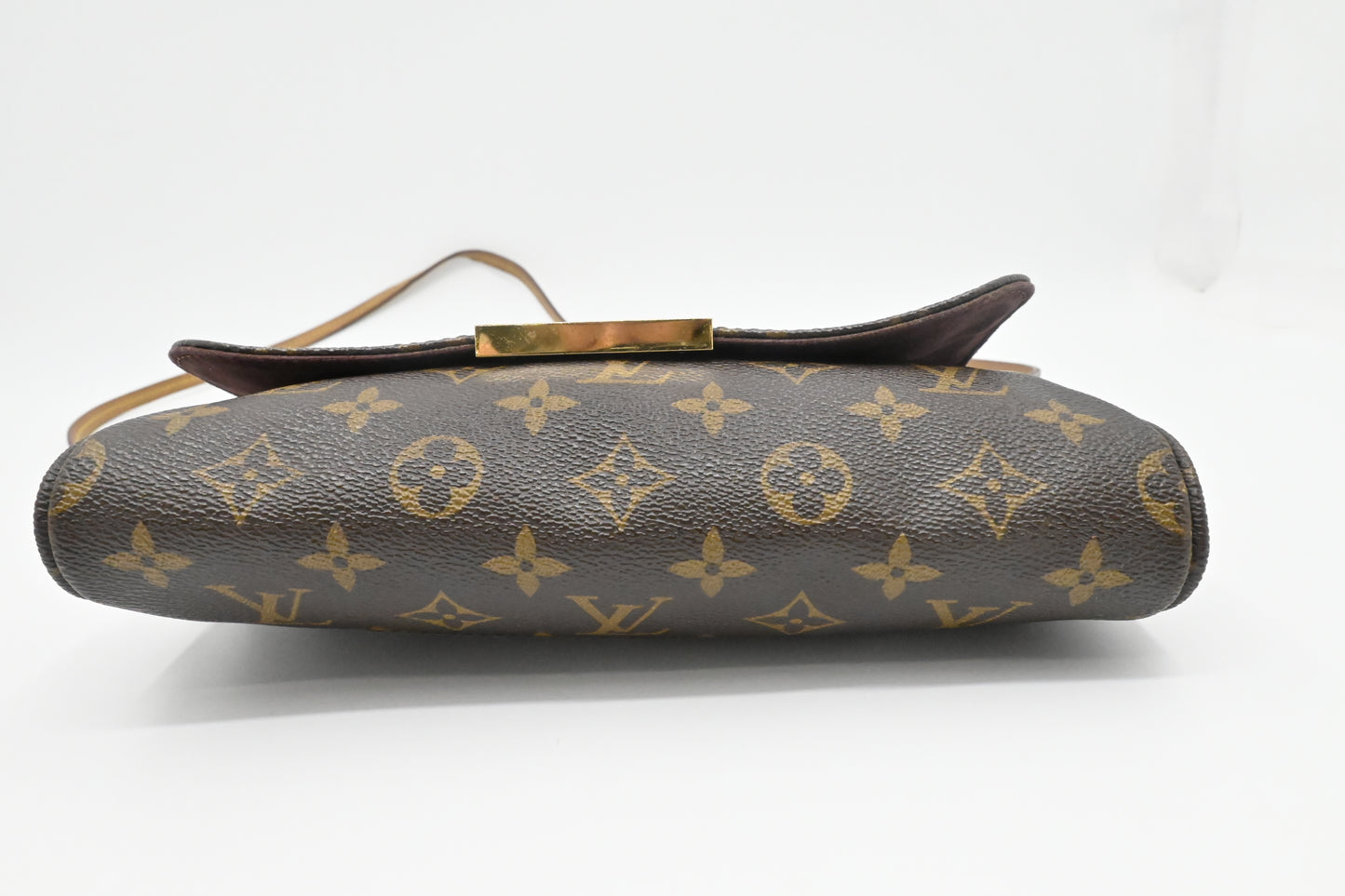 Louis Vuitton Favorite MM in Monogram Canvas