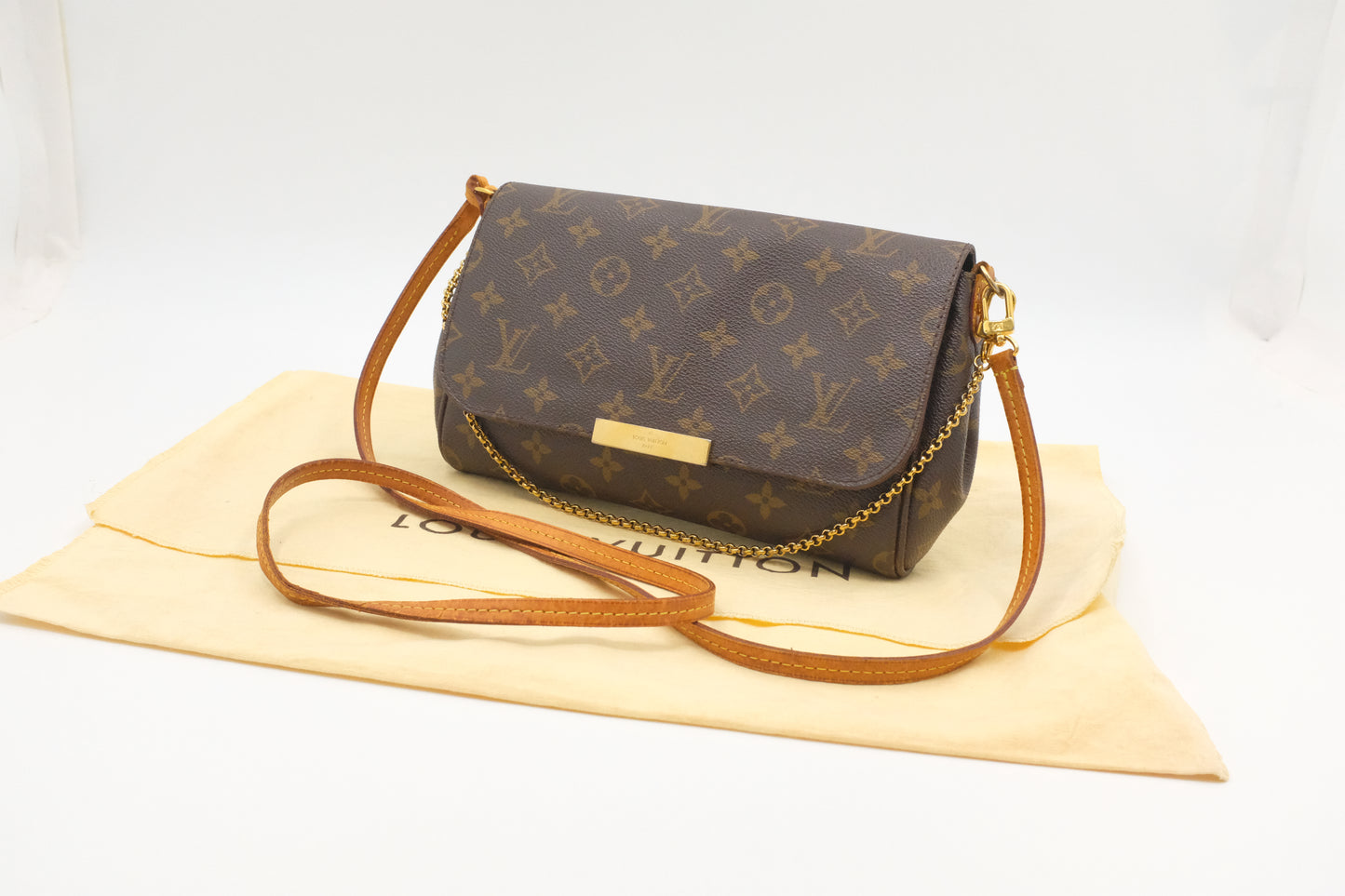 Louis Vuitton Favorite MM in Monogram Canvas