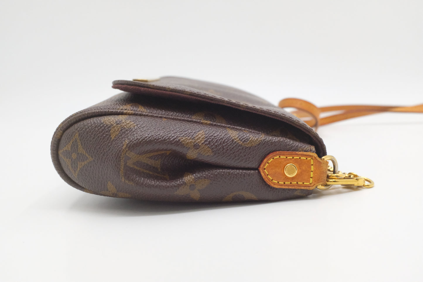 Louis Vuitton Favorite MM in Monogram Canvas