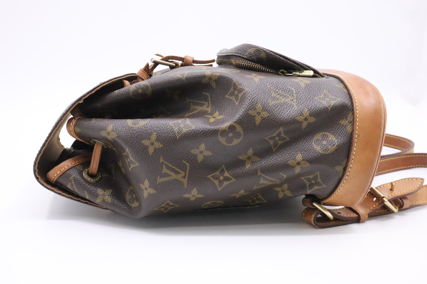 Louis Vuitton Montsouris MM in Monogram Canvas