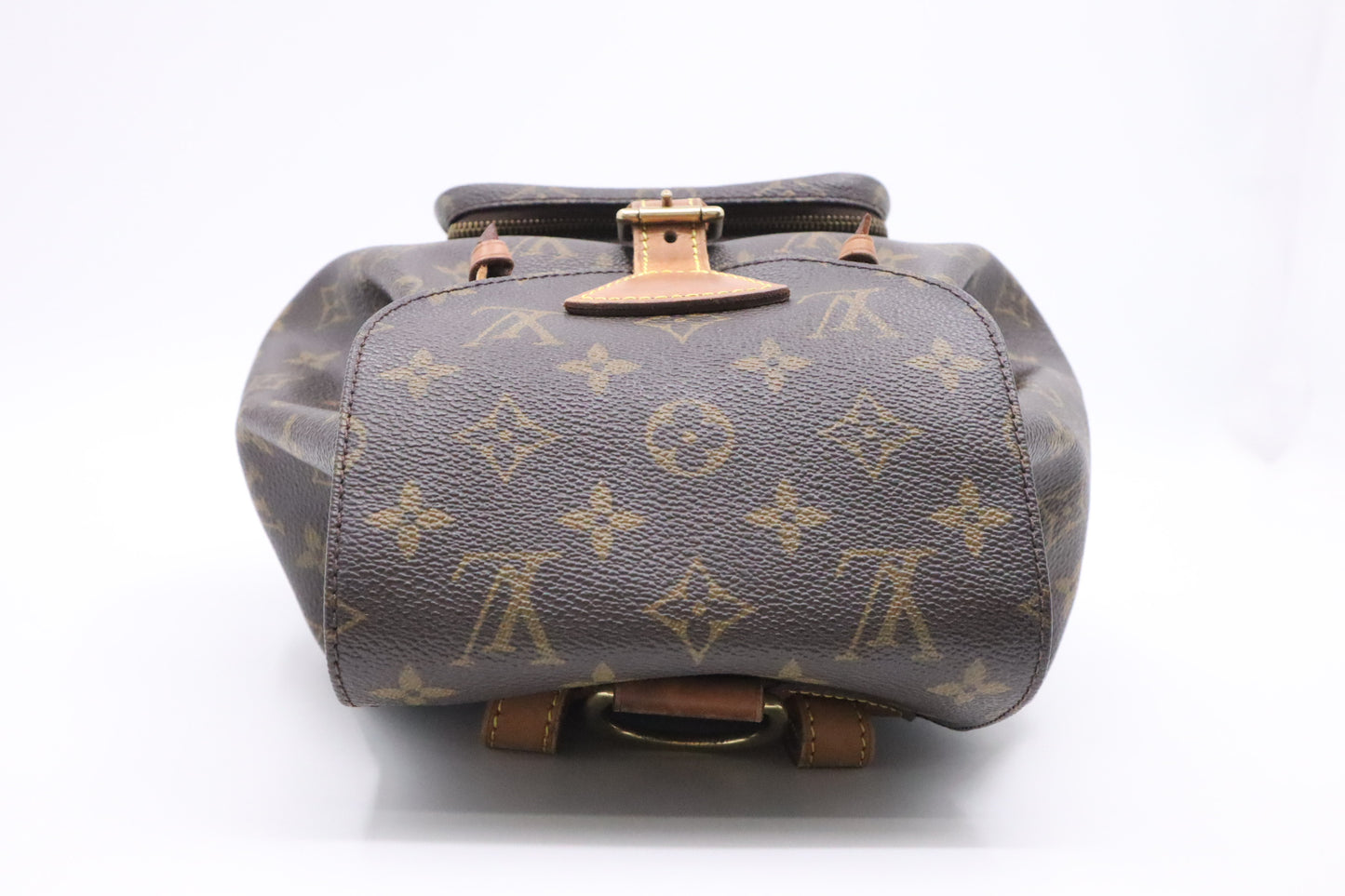 Louis Vuitton Montsouris MM in Monogram Canvas