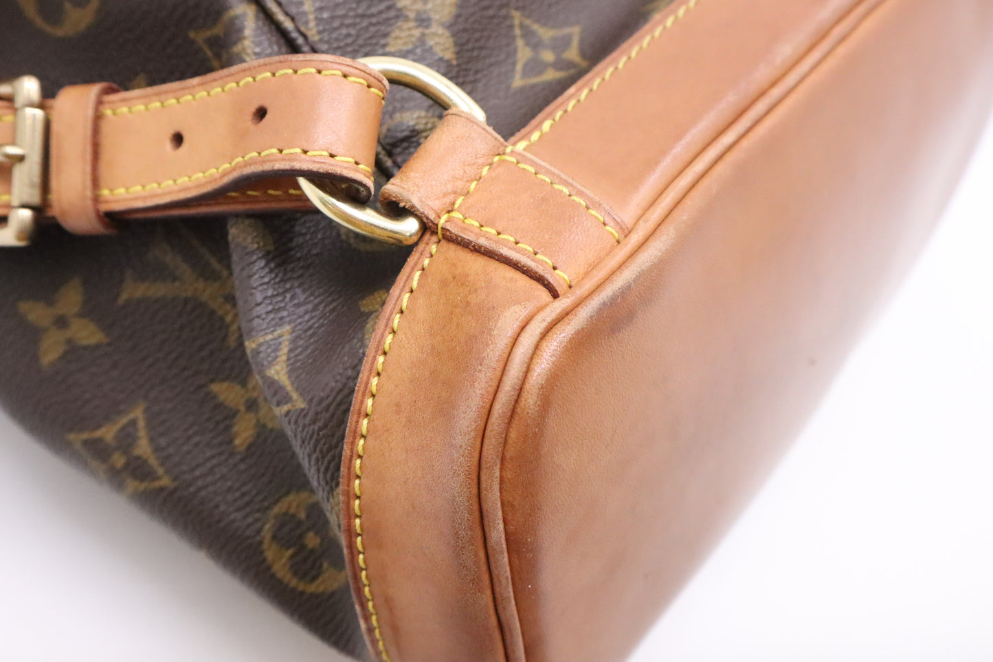 Louis Vuitton Montsouris MM in Monogram Canvas