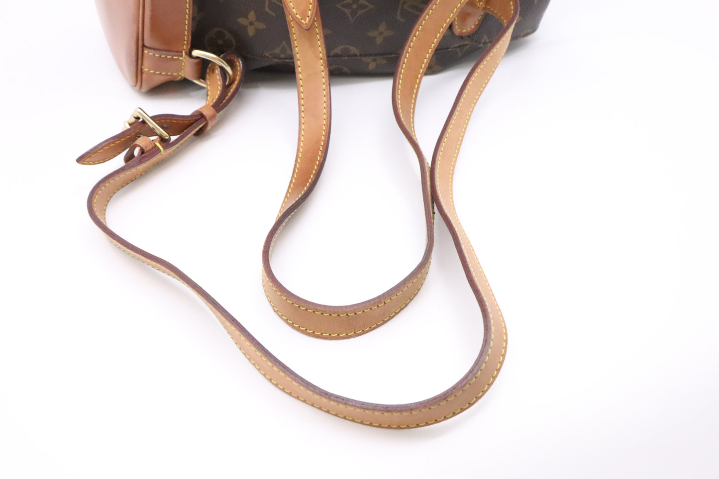 Louis Vuitton Montsouris MM in Monogram Canvas