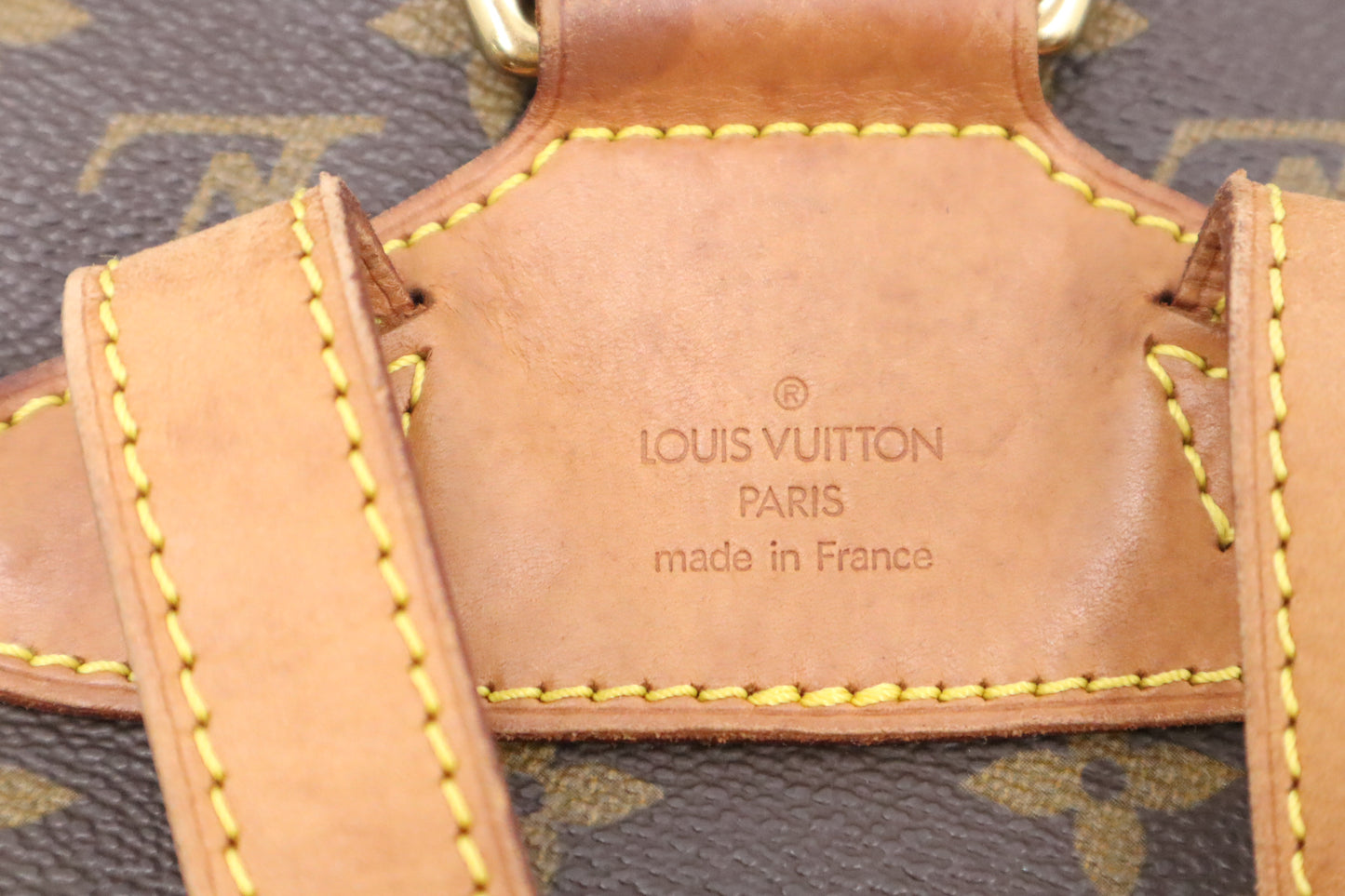 Louis Vuitton Montsouris MM in Monogram Canvas