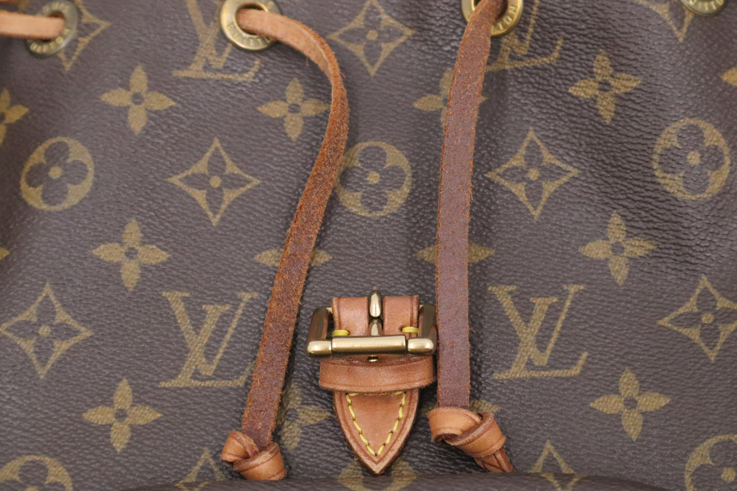 Louis Vuitton Montsouris MM in Monogram Canvas