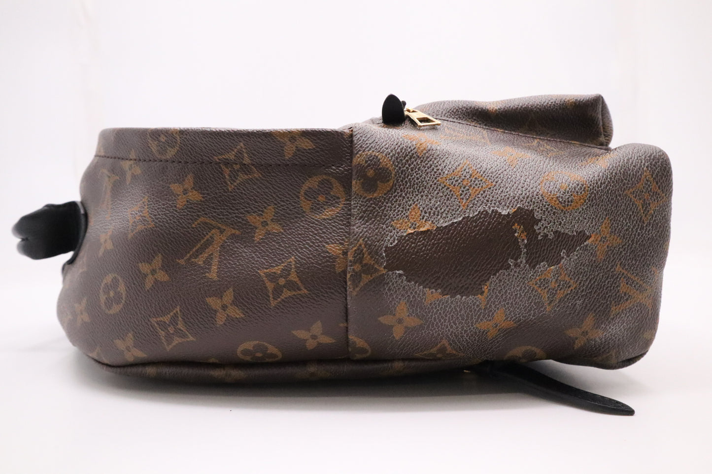 Louis Vuitton Palm Springs Backpack in Monogram Canvas