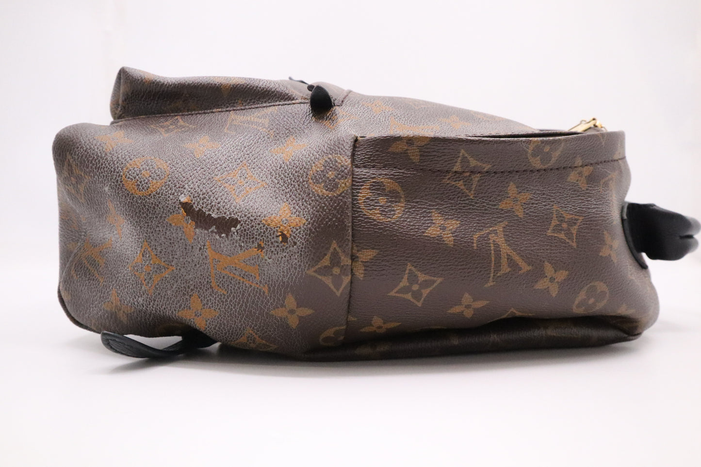 Louis Vuitton Palm Springs Backpack in Monogram Canvas