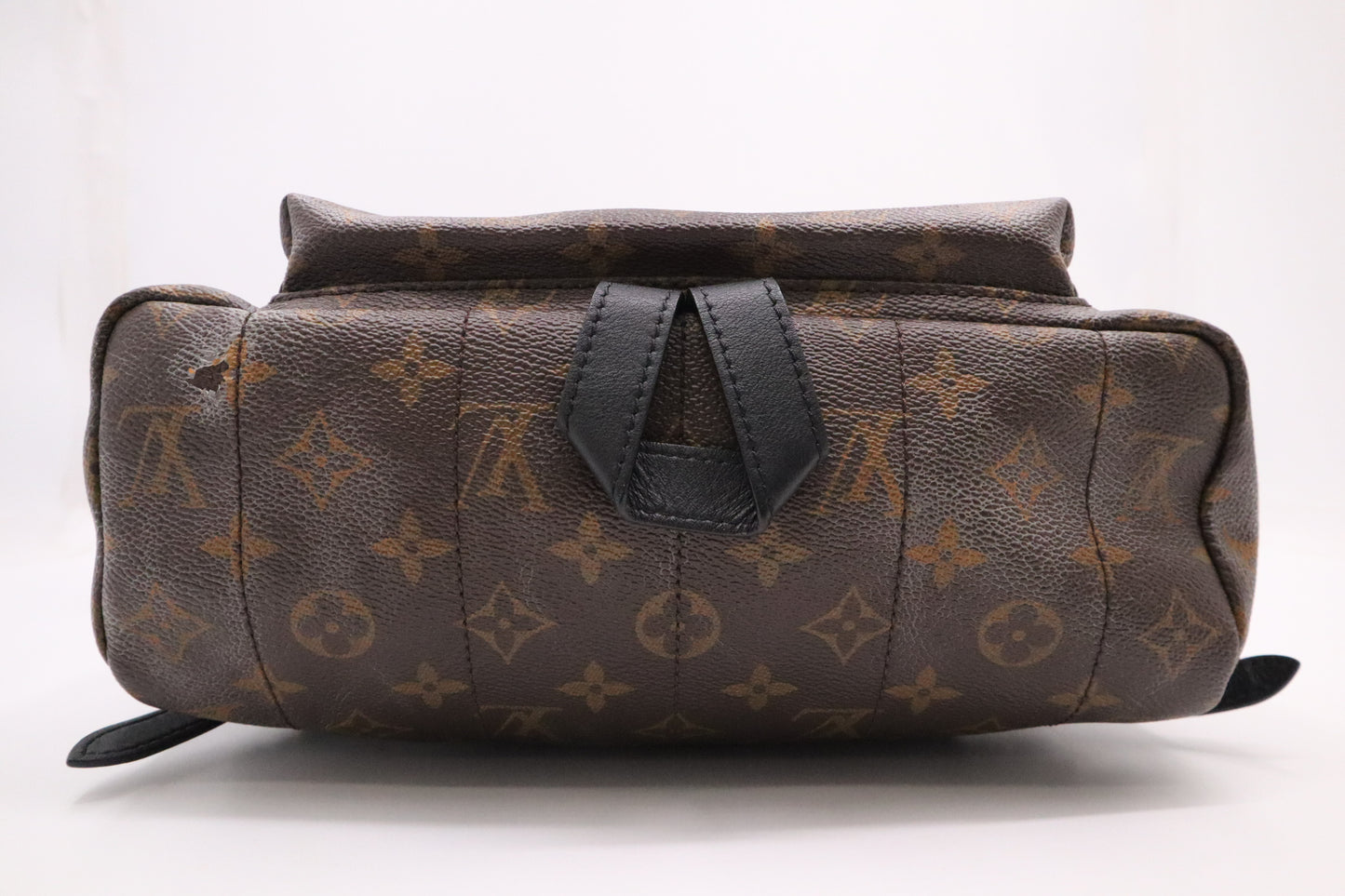 Louis Vuitton Palm Springs Backpack in Monogram Canvas