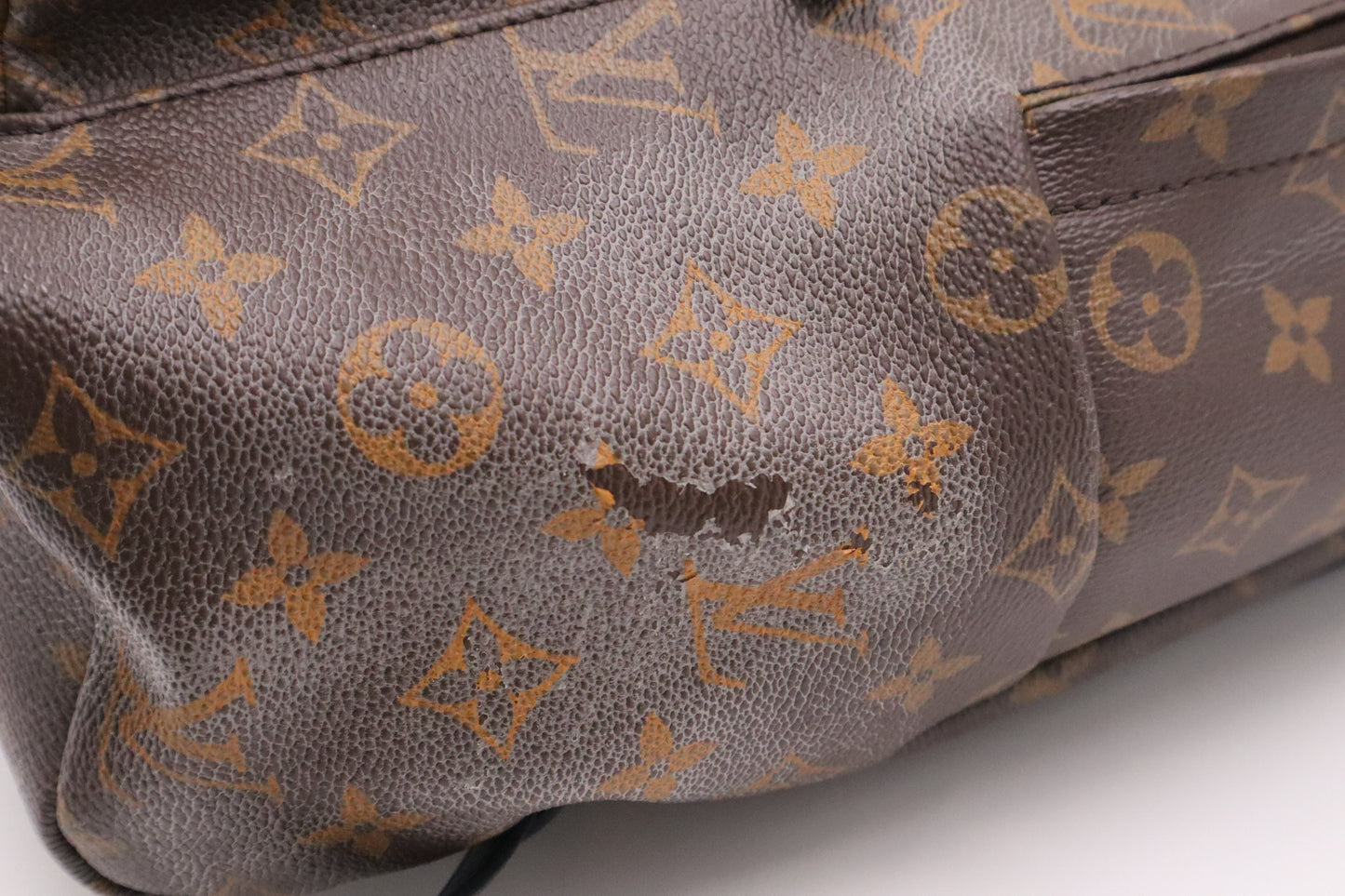 Louis Vuitton Palm Springs Backpack in Monogram Canvas