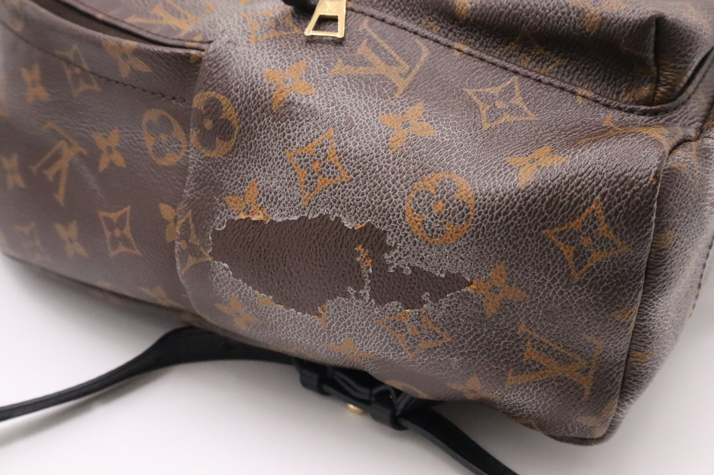 Louis Vuitton Palm Springs Backpack in Monogram Canvas