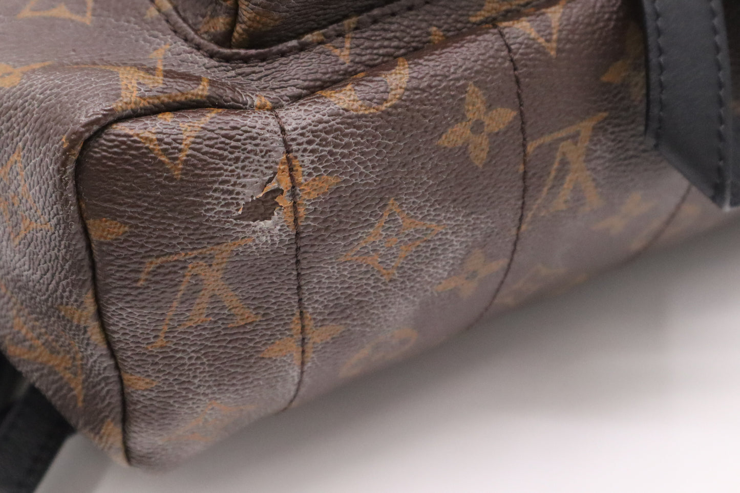 Louis Vuitton Palm Springs Backpack in Monogram Canvas