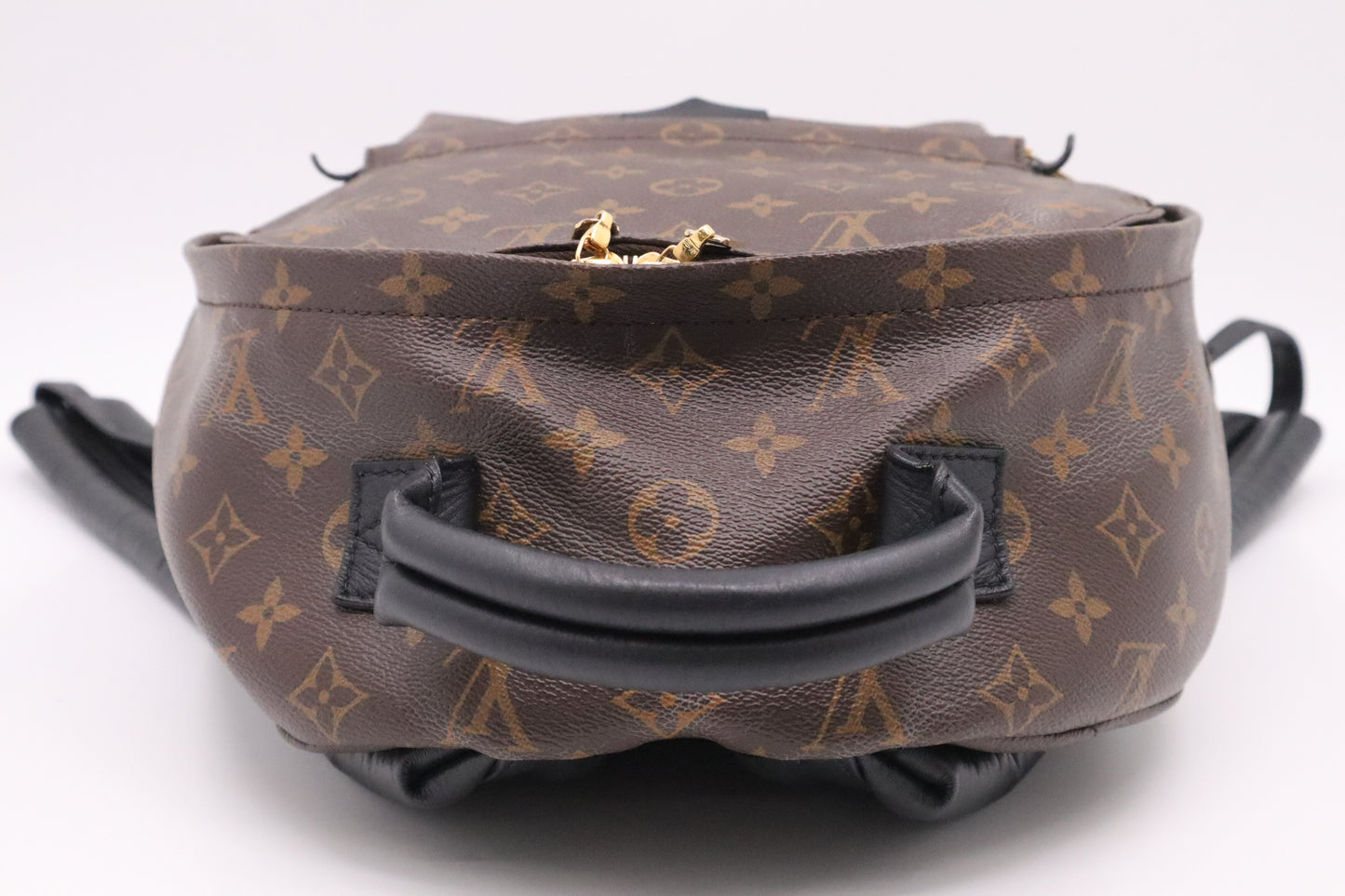 Louis Vuitton Palm Springs Backpack in Monogram Canvas