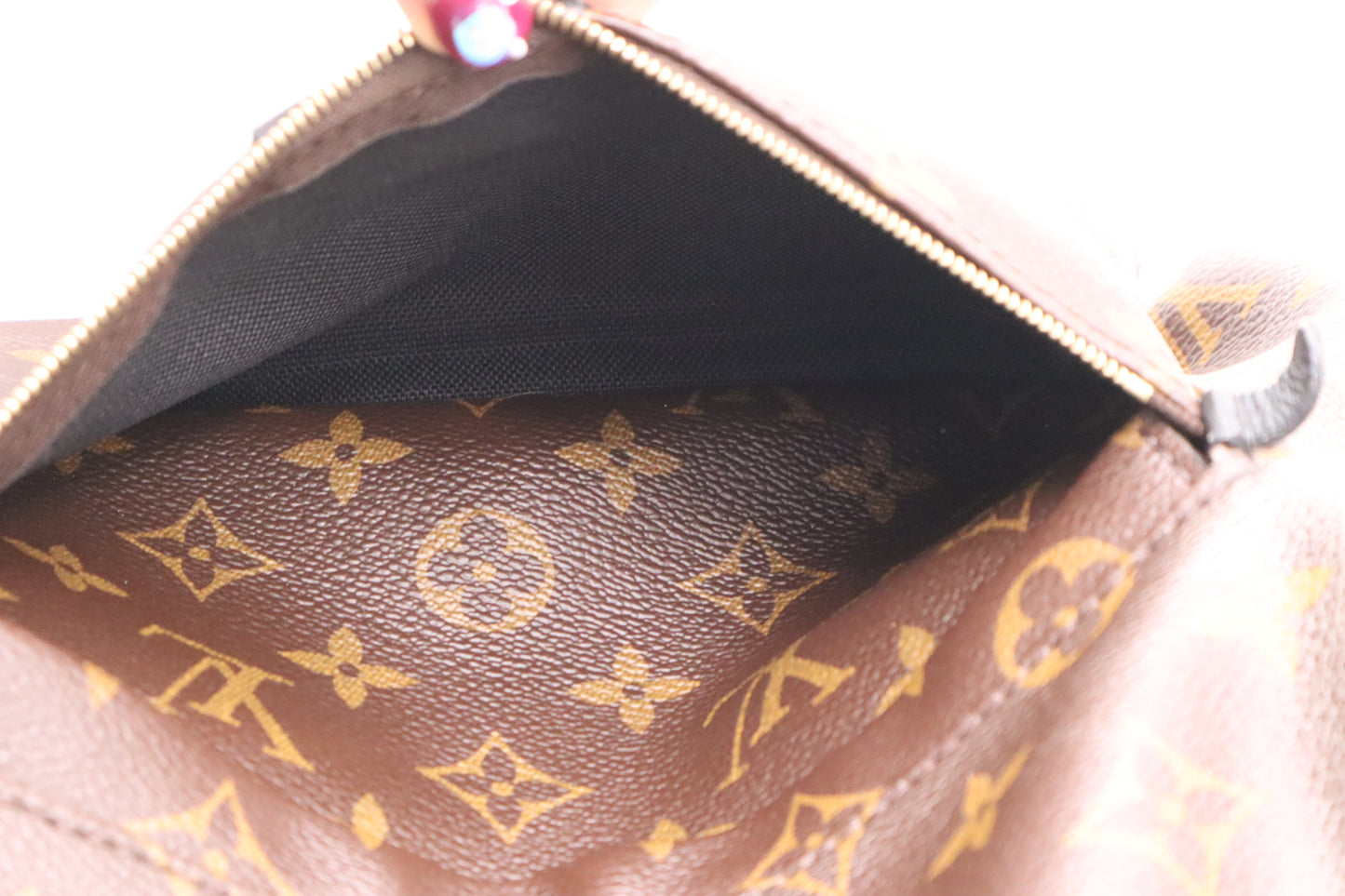 Louis Vuitton Palm Springs Backpack in Monogram Canvas