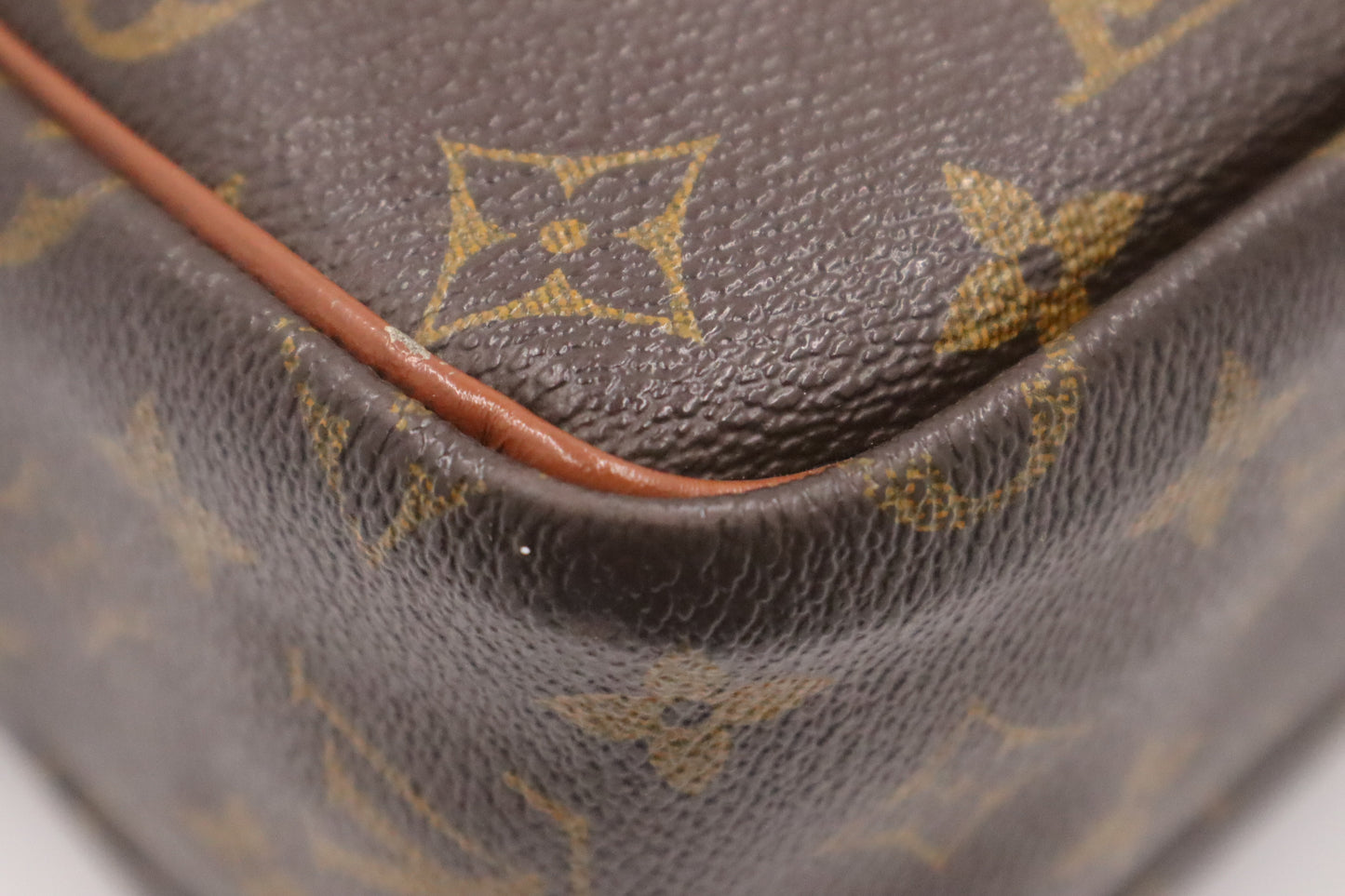 Louis Vuitton Nile PM in Monogram Canvas