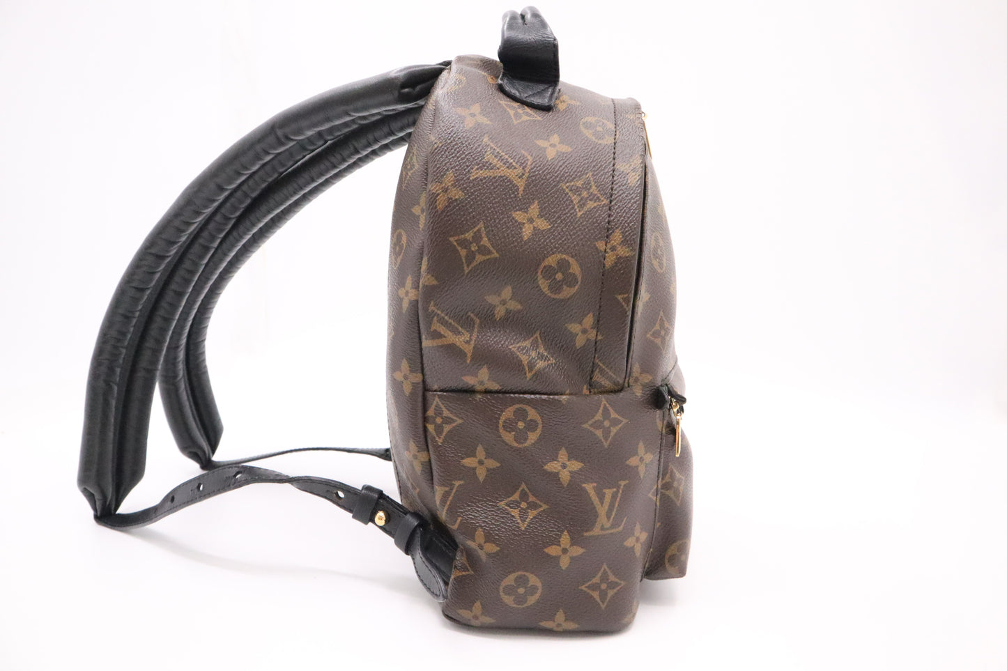 Louis Vuitton Palm Springs PM in Monogram Canvas