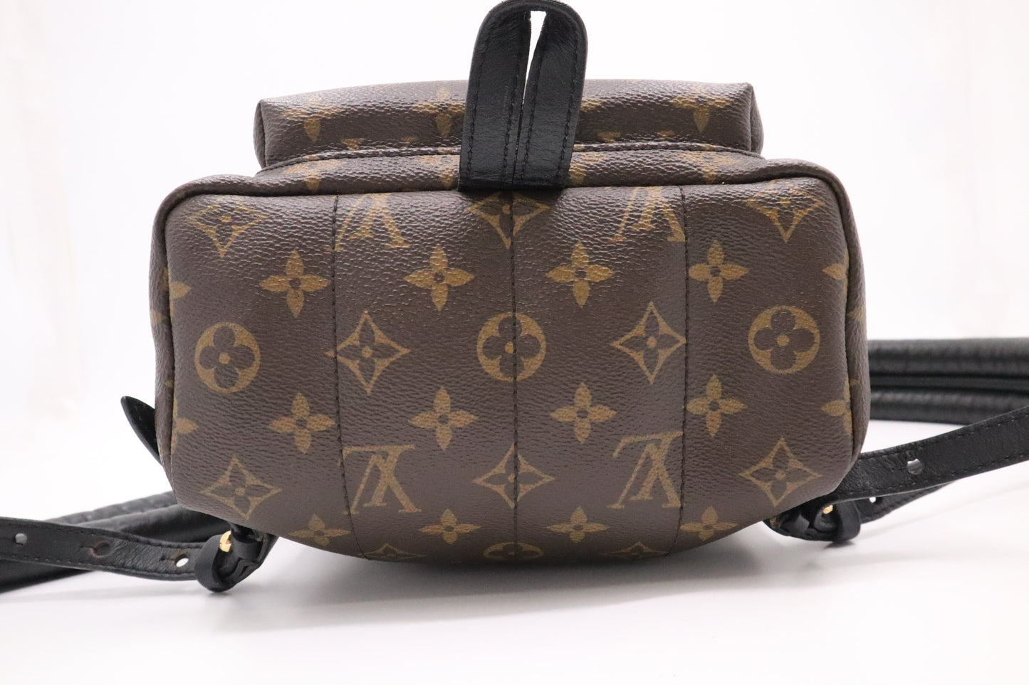 Louis Vuitton Palm Springs PM in Monogram Canvas